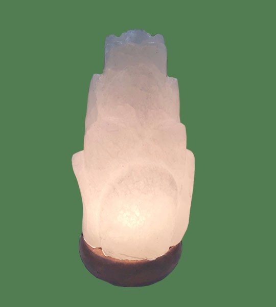 Himalayan Salt Lamp White Flower